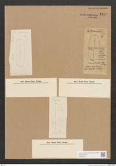 Diatomeae indet. Zeichnungen Sammlung Grunow Nr. 1819 (NHMW-BOT-W0368738)